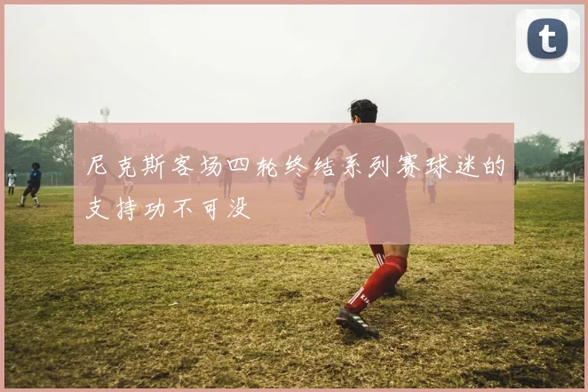 尼克斯客场四轮终结系列赛球迷的支持功不可没